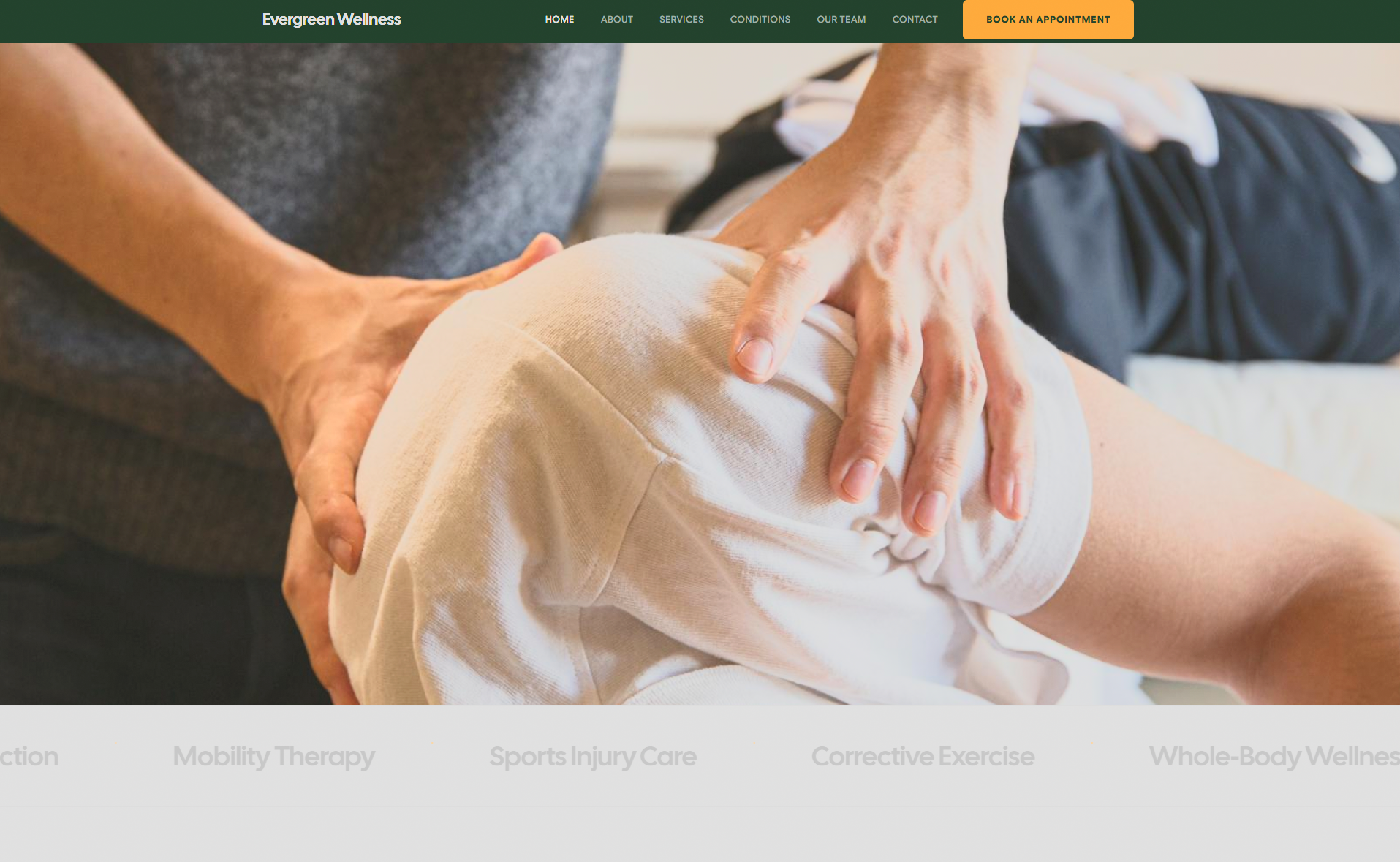 Chiropractor Template